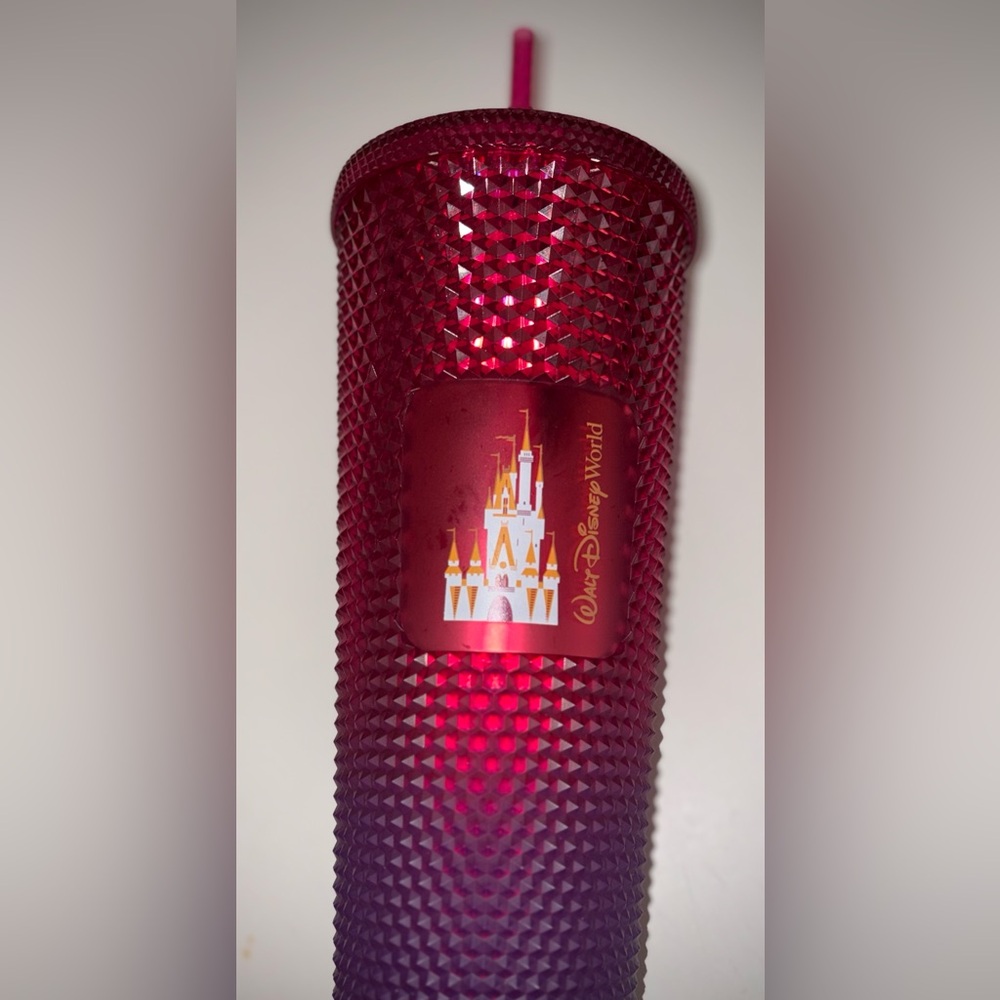 Disney World Red Castle Tumbler
